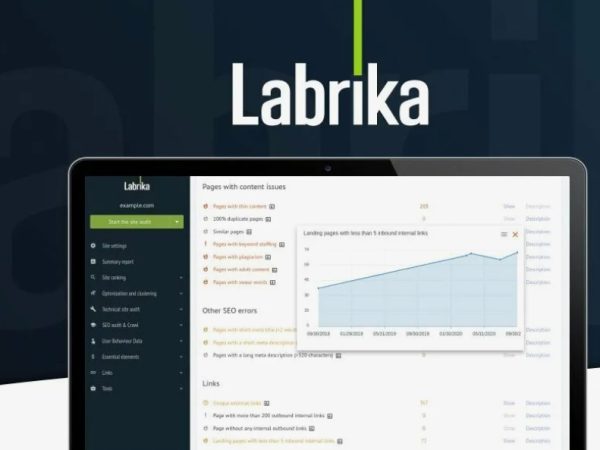 Labrika: революционная сила в SEO